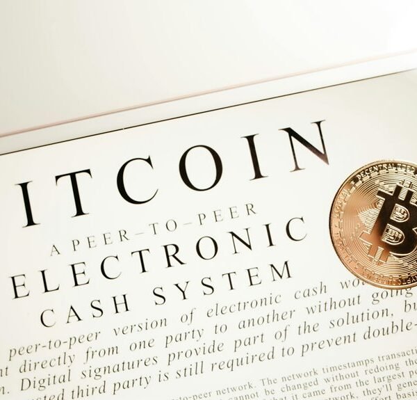 SERP Visibility 654865370 With Backlink Campaign